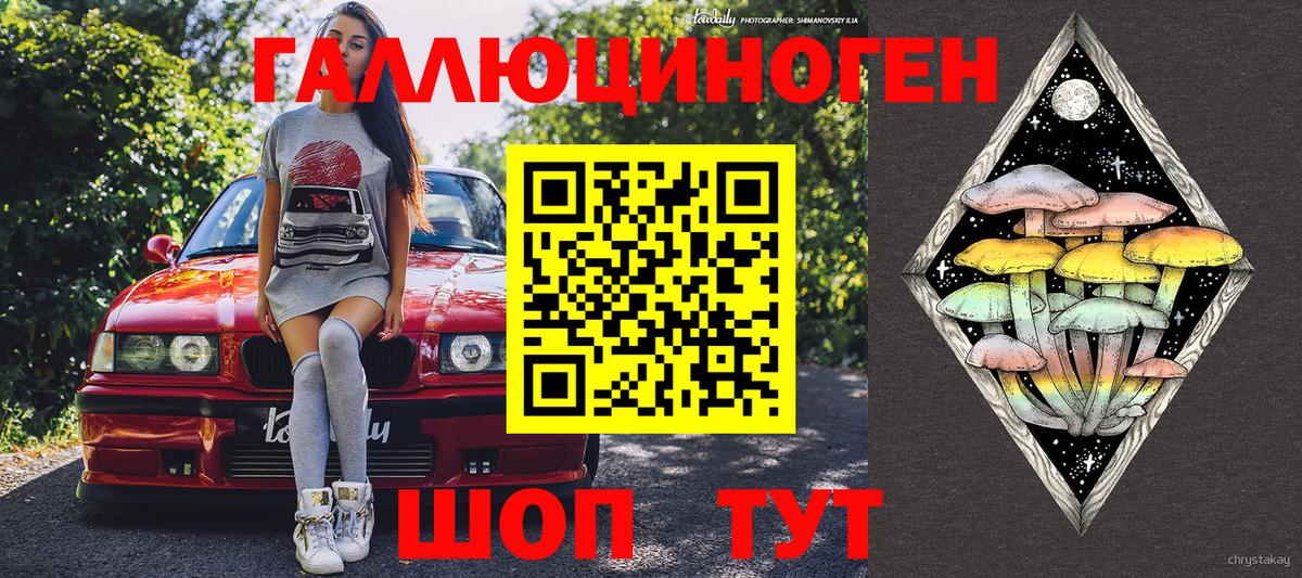 Новороссийск  Псилоцибиновые грибы прущие грибы  Вход с VPN 